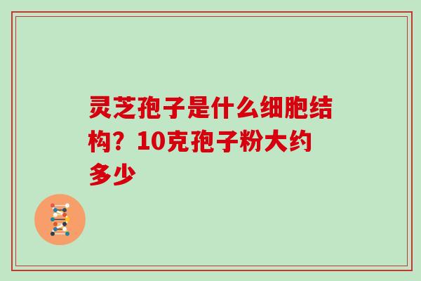 灵芝孢子是什么细胞结构?10克孢子粉大约多少