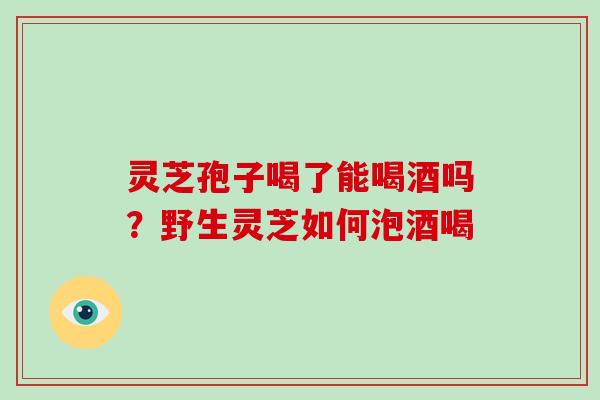 灵芝孢子喝了能喝酒吗？野生灵芝如何泡酒喝