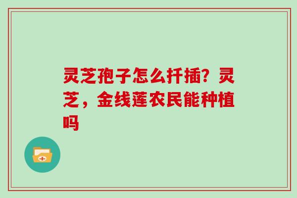灵芝孢子怎么扦插?灵芝,金线莲农民能种植吗