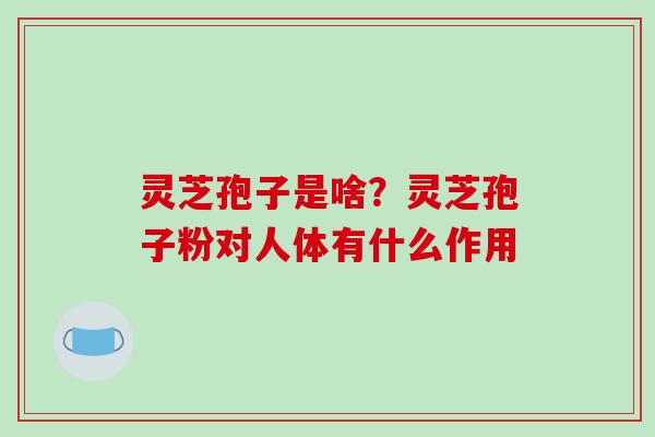 灵芝孢子是啥?灵芝孢子粉对人体有什么作用