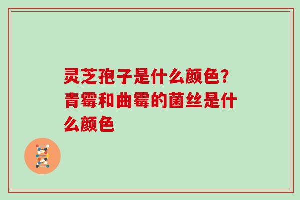 灵芝孢子是什么颜色?青霉和曲霉的菌丝是什么颜色