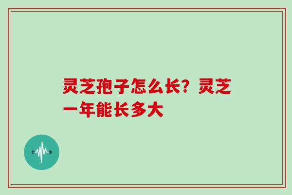 灵芝孢子怎么长?灵芝一年能长多大