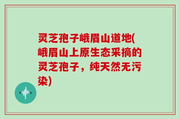 灵芝孢子峨眉山道地(峨眉山上原生态采摘的灵芝孢子,纯天然无污染)
