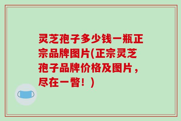 灵芝孢子多少钱一瓶正宗品牌图片(正宗灵芝孢子品牌价格及图片,尽在一瞥!)