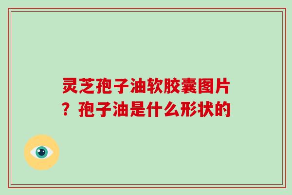 灵芝孢子油软胶囊图片?孢子油是什么形状的