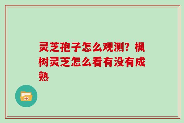 灵芝孢子怎么观测?枫树灵芝怎么看有没有成熟