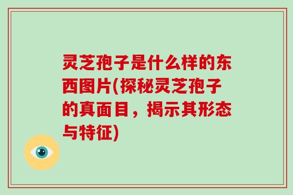 灵芝孢子是什么样的东西图片(探秘灵芝孢子的真面目，揭示其形态与特征)