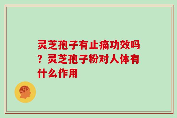 灵芝孢子有止痛功效吗?灵芝孢子粉对人体有什么作用