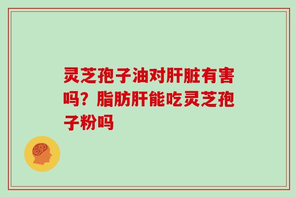 灵芝孢子油对肝脏有害吗?脂肪肝能吃灵芝孢子粉吗