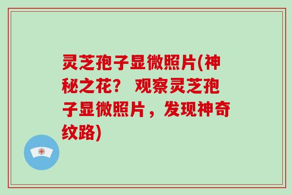 灵芝孢子显微照片(神秘之花? 观察灵芝孢子显微照片,发现神奇纹路)