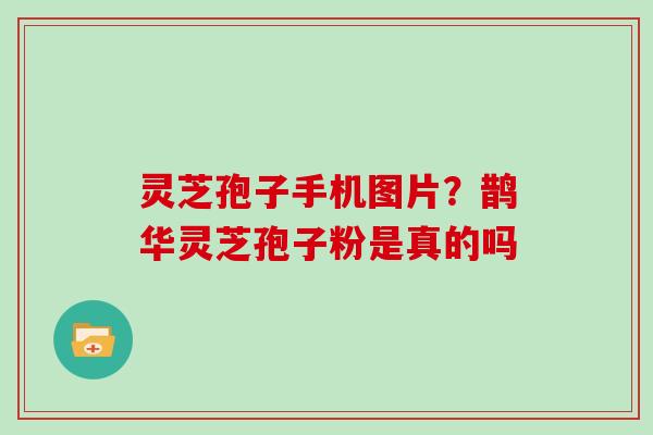 灵芝孢子手机图片？鹊华灵芝孢子粉是真的吗