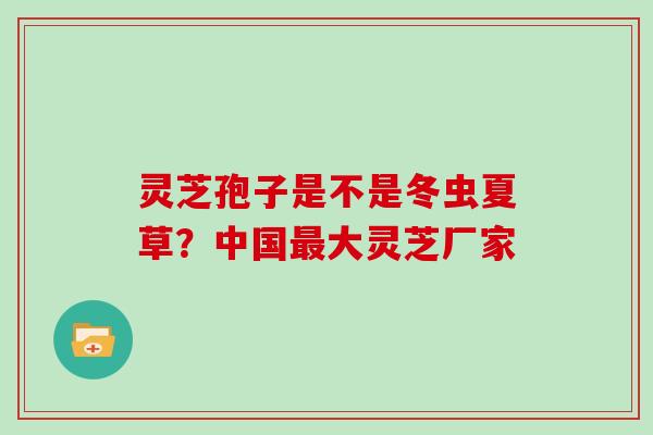 灵芝孢子是不是冬虫夏草?中国最大灵芝厂家