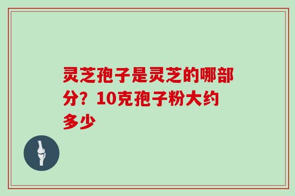 灵芝孢子是灵芝的哪部分?10克孢子粉大约多少