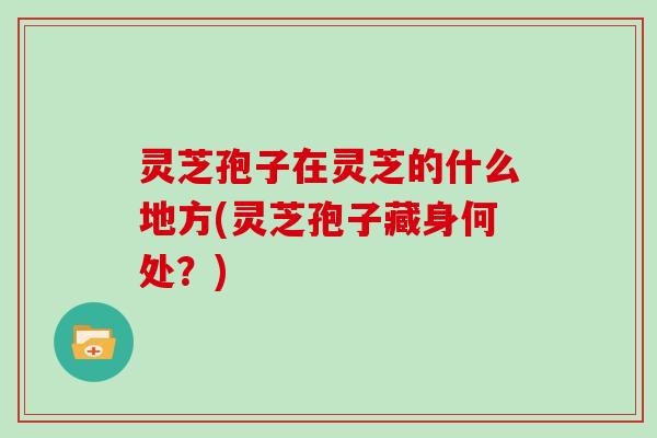 灵芝孢子在灵芝的什么地方(灵芝孢子藏身何处?)