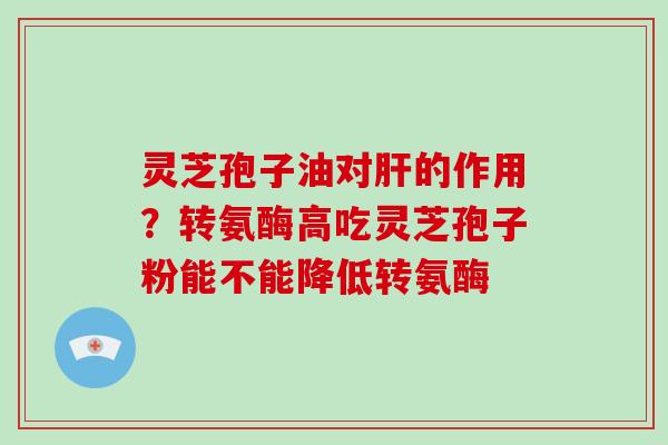 灵芝孢子油对肝的作用？转氨酶高吃灵芝孢子粉能不能降低转氨酶