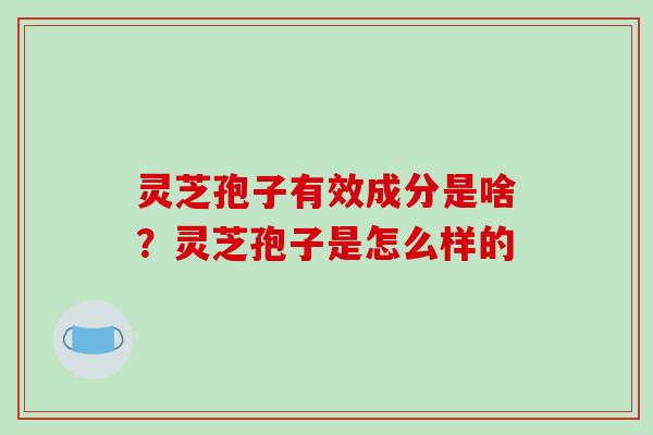 灵芝孢子有效成分是啥?灵芝孢子是怎么样的