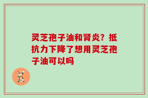 灵芝孢子油和肾炎？抵抗力下降了想用灵芝孢子油可以吗