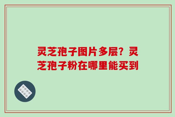 灵芝孢子图片多层?灵芝孢子粉在哪里能买到