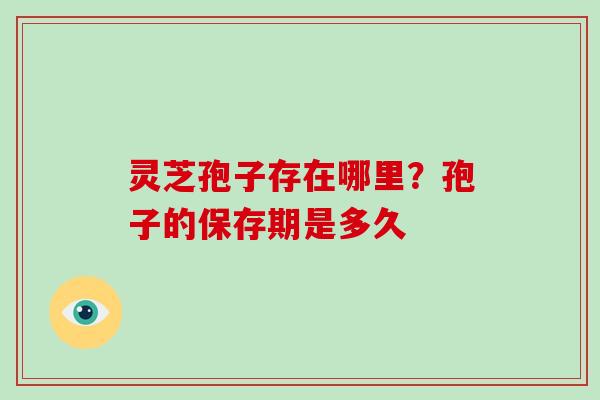 灵芝孢子存在哪里？孢子的保存期是多久