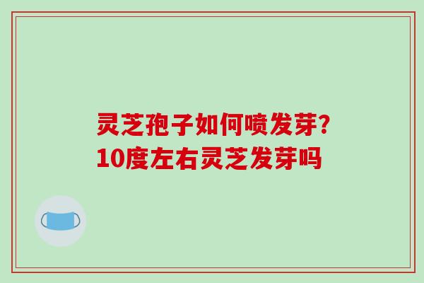 灵芝孢子如何喷发芽?10度左右灵芝发芽吗