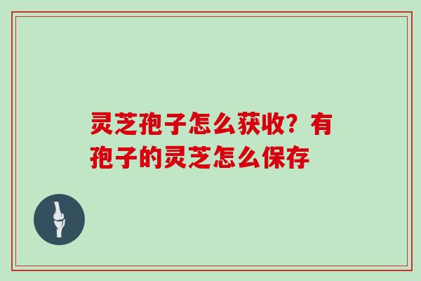 灵芝孢子怎么获收?有孢子的灵芝怎么保存