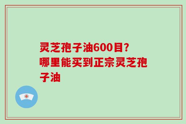 灵芝孢子油600目?哪里能买到正宗灵芝孢子油