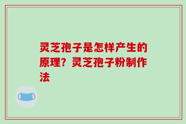 灵芝孢子是怎样产生的原理？灵芝孢子粉制作法