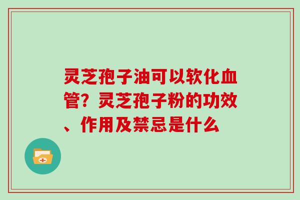 灵芝孢子油可以软化血管?灵芝孢子粉的功效、作用及禁忌是什么