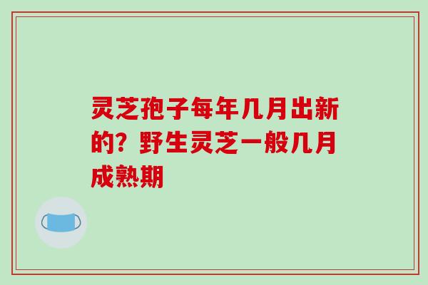 灵芝孢子每年几月出新的?野生灵芝一般几月成熟期