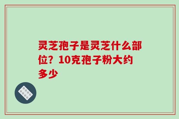 灵芝孢子是灵芝什么部位？10克孢子粉大约多少