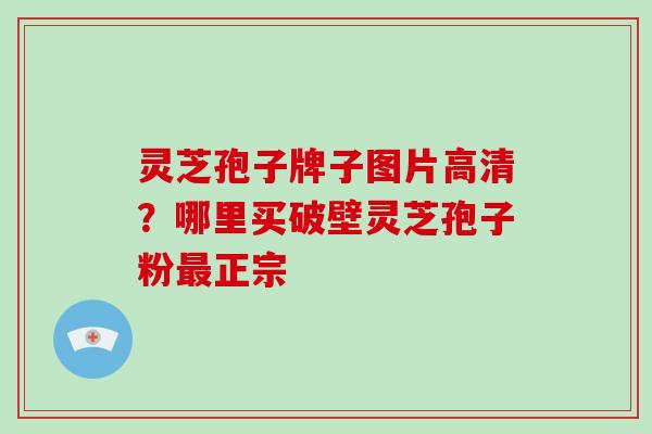 灵芝孢子牌子图片高清？哪里买破壁灵芝孢子粉最正宗