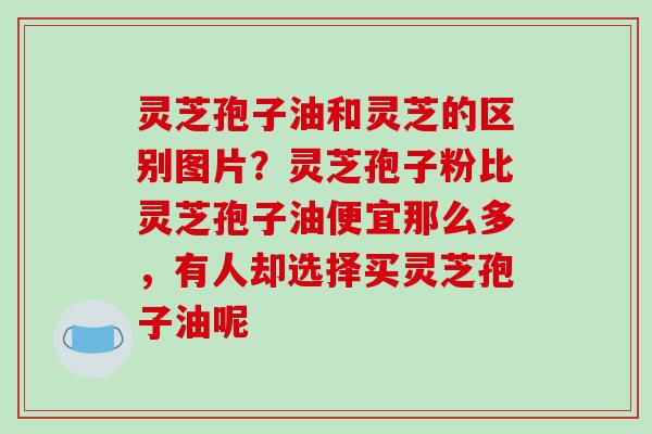 灵芝孢子油和灵芝的区别图片?灵芝孢子粉比灵芝孢子油便宜那么多,有人却选择买灵芝孢子油呢