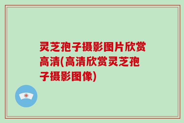灵芝孢子摄影图片欣赏高清(高清欣赏灵芝孢子摄影图像)