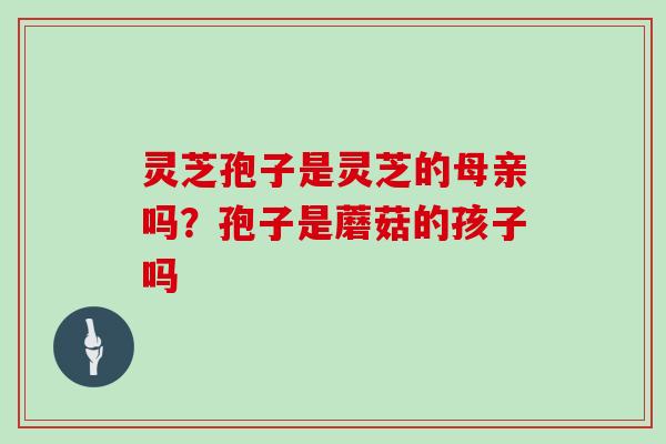 灵芝孢子是灵芝的母亲吗?孢子是蘑菇的孩子吗