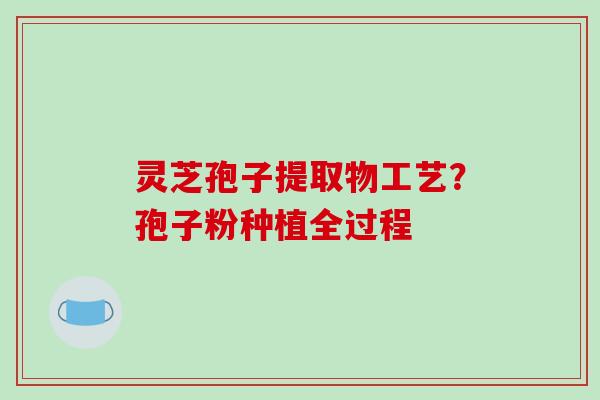 灵芝孢子提取物工艺?孢子粉种植全过程