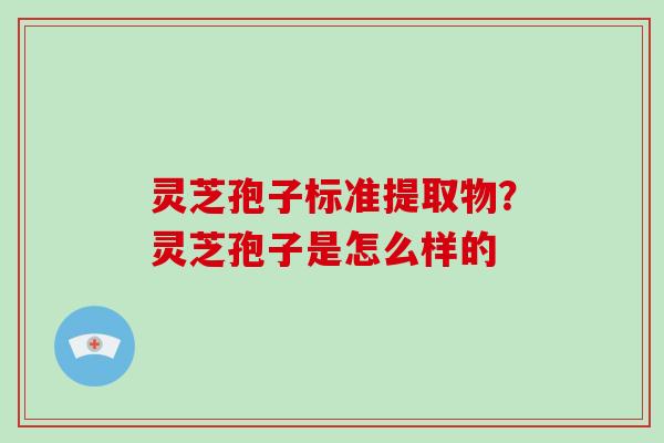 灵芝孢子标准提取物?灵芝孢子是怎么样的