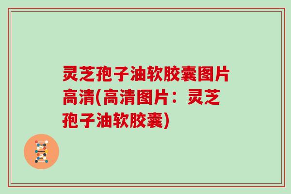 灵芝孢子油软胶囊图片高清(高清图片:灵芝孢子油软胶囊)