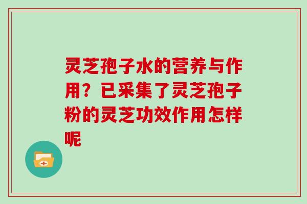 灵芝孢子水的营养与作用?已采集了灵芝孢子粉的灵芝功效作用怎样呢