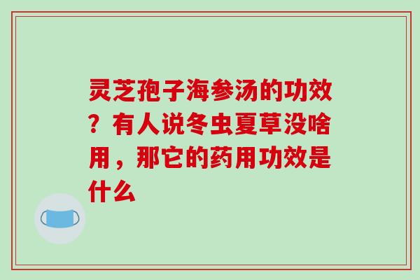 灵芝孢子海参汤的功效？有人说冬虫夏草没啥用，那它的药用功效是什么