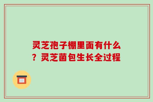 灵芝孢子棚里面有什么？灵芝菌包生长全过程