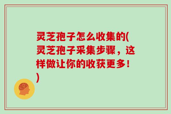 灵芝孢子怎么收集的(灵芝孢子采集步骤,这样做让你的收获更多!)
