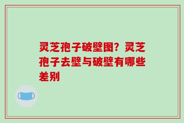 灵芝孢子破壁图？灵芝孢子去壁与破壁有哪些差别