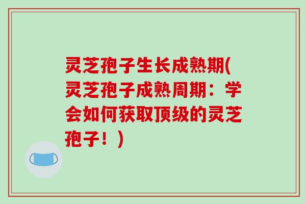 灵芝孢子生长成熟期(灵芝孢子成熟周期:学会如何获取顶级的灵芝孢子!)