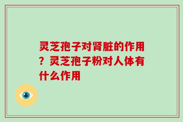 灵芝孢子对肾脏的作用？灵芝孢子粉对人体有什么作用