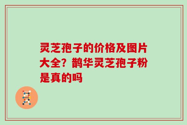 灵芝孢子的价格及图片大全？鹊华灵芝孢子粉是真的吗