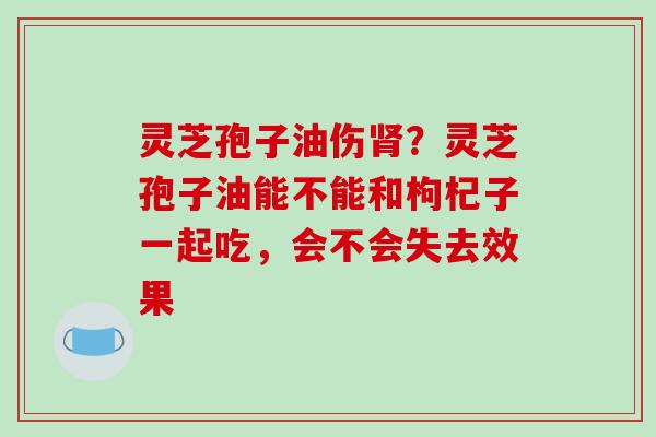 灵芝孢子油伤肾?灵芝孢子油能不能和枸杞子一起吃,会不会失去效果