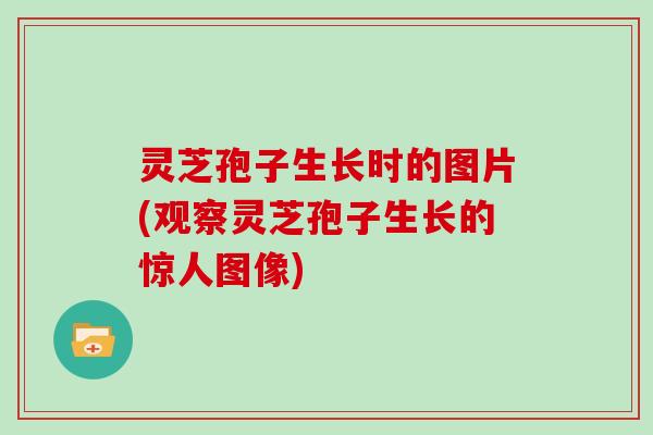 灵芝孢子生长时的图片(观察灵芝孢子生长的惊人图像)