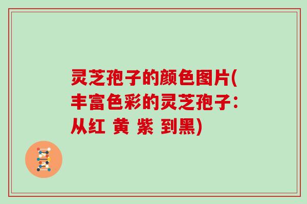 灵芝孢子的颜色图片(丰富色彩的灵芝孢子：从红 黄 紫 到黑)