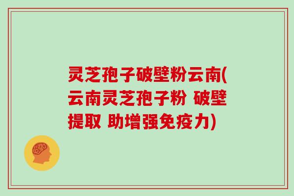 灵芝孢子破壁粉云南(云南灵芝孢子粉 破壁提取 助增强免疫力)