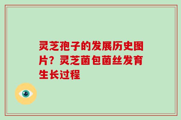 灵芝孢子的发展历史图片？灵芝菌包菌丝发育生长过程